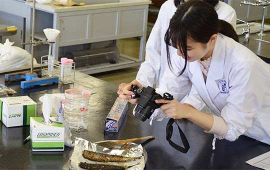 健康食品管理士とは?